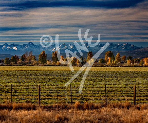 COLORADO Montrose